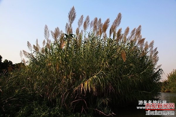 游多多旅行网 - 旅游照片