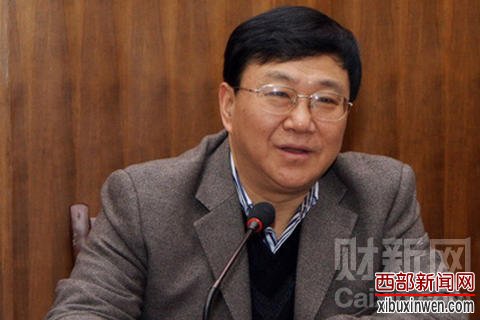 资料图：重庆市人大常委会副主任谭栖伟