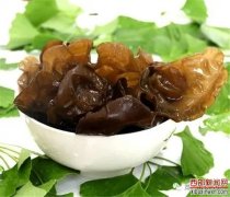 “小木耳 大产业”走进博鳌“柞水木耳”荣获《2020美丽乡村博鳌国际峰会推荐名品》称号
